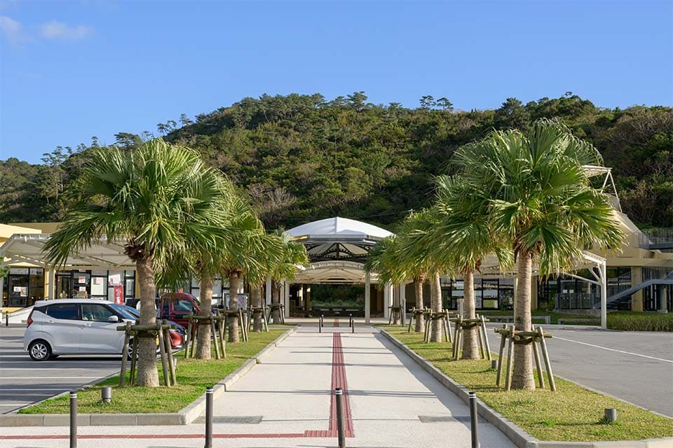 大宜見-道の駅おおぎみ（やんばるの森ビジターセンター）｜ソラシドエア-エシカルトラベル沖縄