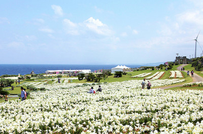 【4月の沖縄旅行】気候・服装・最新イベント情報