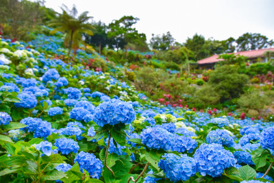 【6月の沖縄旅行】気候・服装・最新イベント情報