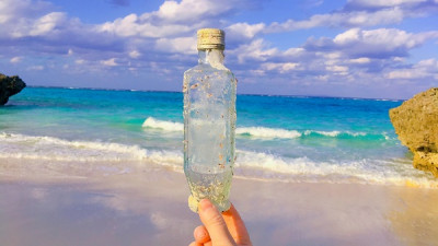 参加できる！豊かな沖縄の海を守るためにできること 