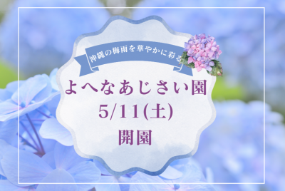 沖縄の梅雨を華やかに彩る「よへなあじさい園」