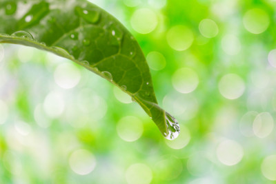 水不足でピンチ！節水にご協力ください