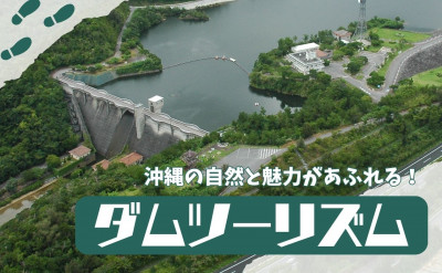 沖縄の自然と魅力があふれる！「ダムツーリズム」