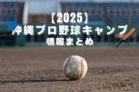 【2025】沖縄プロ野球キャンプの情報まとめ