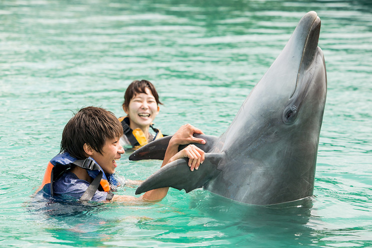 もとぶ元気村