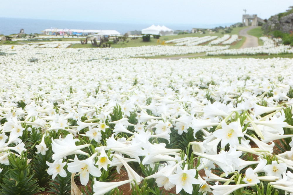 伊江島