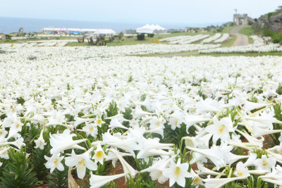 伊江島