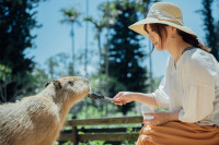 【動物ふれあい広場】カピバラとのふれあい・エサやりで癒しの時間