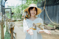 【動物ふれあい】リスザルとのふれあい、エサやりができます！