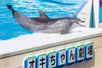 海洋博公園・オキちゃん劇場