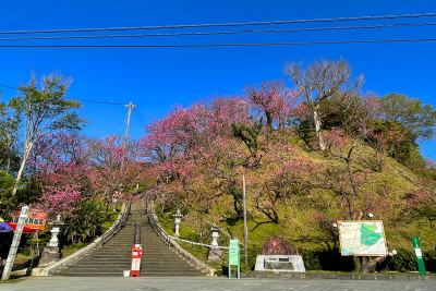 名護城公園