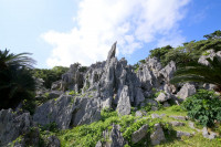 大石林山　烏帽子岩