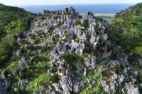 大石林山　悟空岩