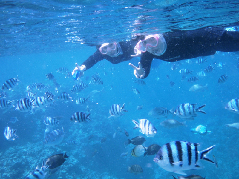 カラフルな魚たちともバッチリ遊べますよ！