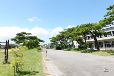 松田の馬場及び松並木(村指定史跡)