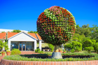 海洋博公園・熱帯・亜熱帯都市緑化植物園