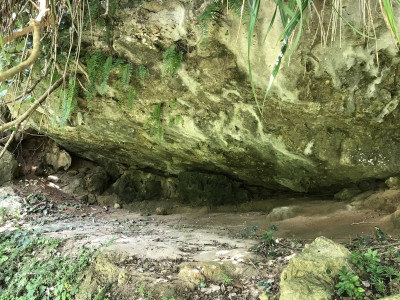 仲泊遺跡(国指定史跡)