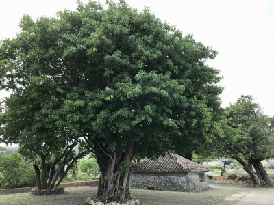 安里のテラ(県指定有形民族文化財)