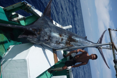 釣り船！クレーンズ沖縄:鶴丸