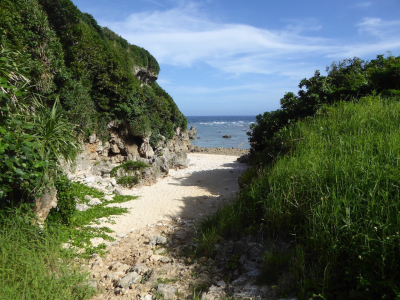 海岸へ続く道