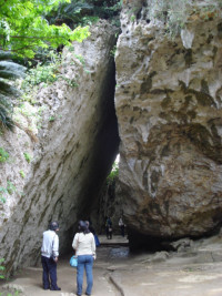 パワースポット巡りツアー