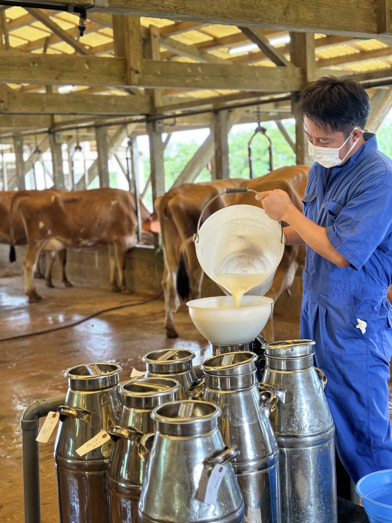 毎日丁寧に搾乳作業をします。新鮮なうちに工房へと運びます。