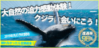 感動のホエールウォッチング！みーぐるマリンスポーツ