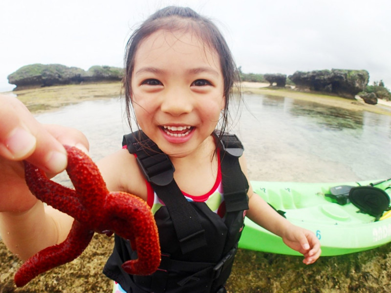 浅瀬で生き物探しをしましょう！！