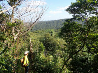 晴れた日の登山道