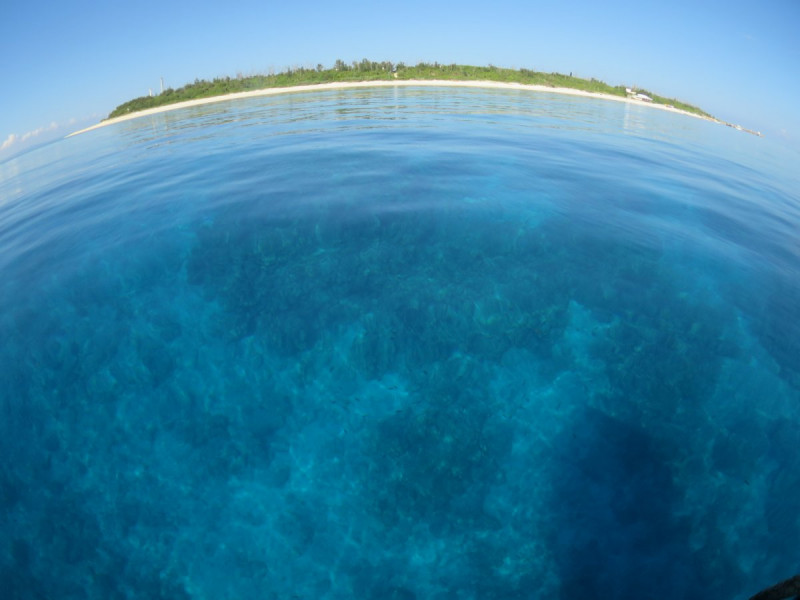 その日の海況・風波に合わせてベストなポイントへご案内いたします