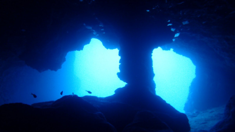 下地島・ミニグロット