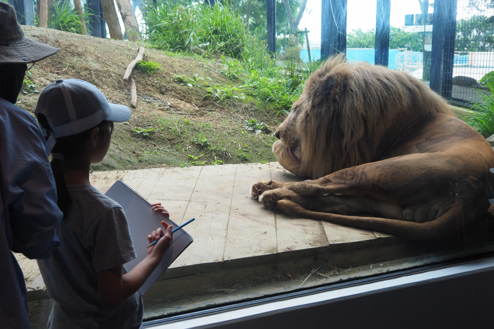 沖縄こどもの国 Okinawa Zoo & Museum