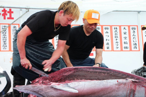 泊いゆまち父の日お魚フェア～本まぐろ祭り～