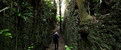 【南大東島】貴重な動植物の宝庫「うふあがり島」の自然を満喫コース