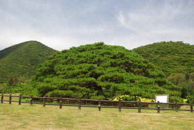 【伊平屋島・野甫島】県内屈指の美しい海と大迫力の自然を満喫コース