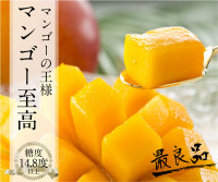  https://r-marche.com/special/mango/