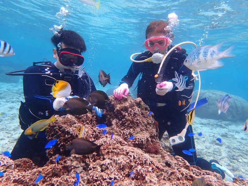 沖縄のカラフルなお魚達が目の前に★可愛いお魚達に癒されます♪