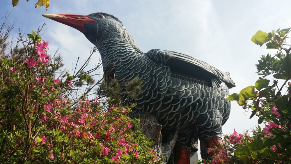 ヤンバルクイナ展望台