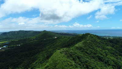 【大宜味村】大宜味の自然・工芸・歴史文化を体感する2泊3日の旅