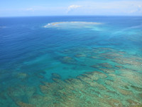 沖縄の綺麗な海での釣りをお楽しみください♪