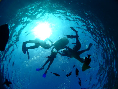 沖縄で海を遊ぶならMaLinLin-DIVE！！