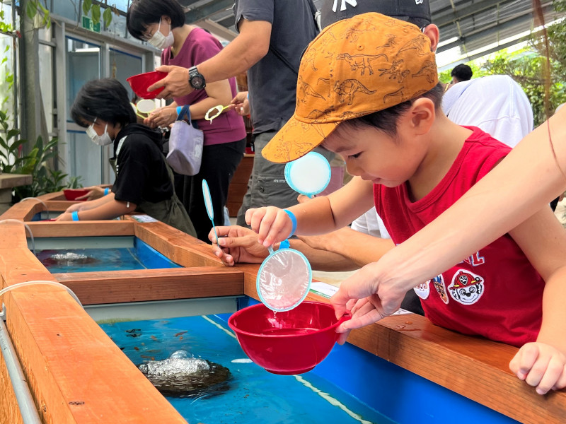 針を使わないから安心 熱帯魚すくい