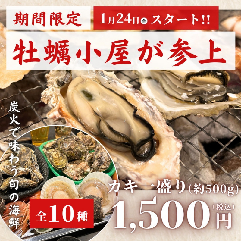 牡蠣小屋プラン　宮城県産牡蠣１皿1500円〜