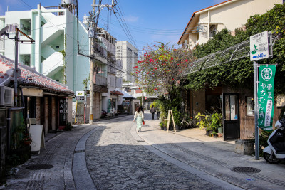 レンタカー要らずで、   ローカルな沖縄もグローバルな沖縄も、伝統文化も自然も堪能！！   効率的欲張りコース