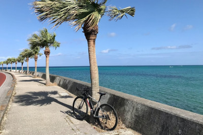 【北谷町発着】上級：ブセナ海中公園往復サイクリング（約80㎞）