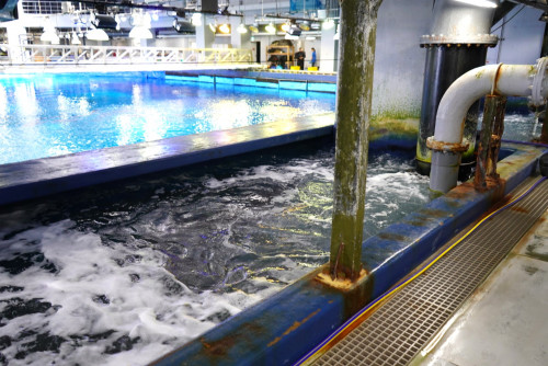 水槽の水は２時間で全部入れ替わる仕組み