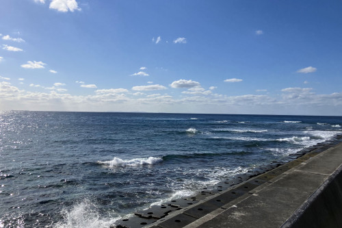 宮城海岸