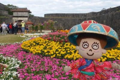 色とりどりの花でおもてなし♪沖縄花のカーニバル