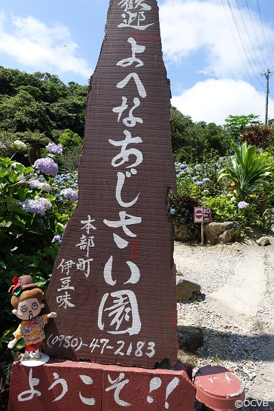 今年も行ってきました！よへなあじさい園！