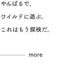 やんばるで、ワイルドに遊ぶ。これはもう探検だ。